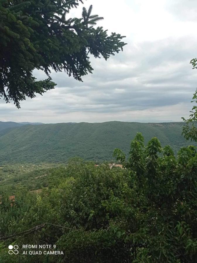 Άγρια Λούλουδα Κατοικία Αρμονία Timfristos Buitenkant foto
