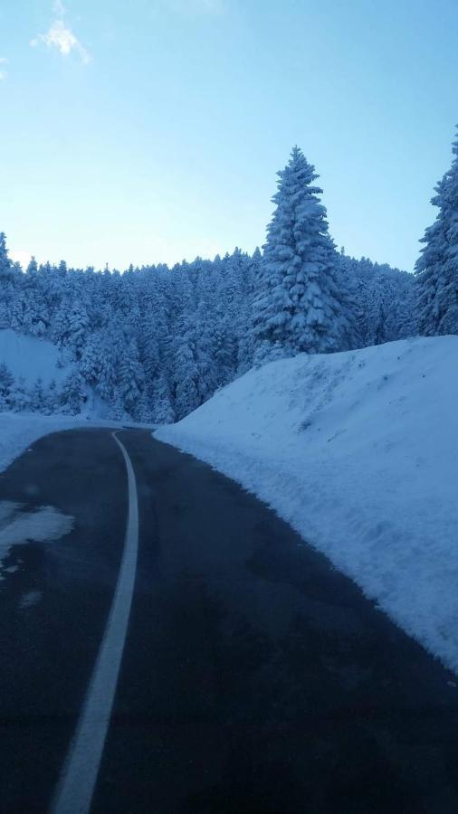 Άγρια Λούλουδα Κατοικία Αρμονία Timfristos Buitenkant foto