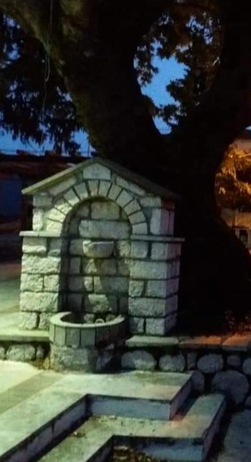 Άγρια Λούλουδα Κατοικία Αρμονία Timfristos Buitenkant foto