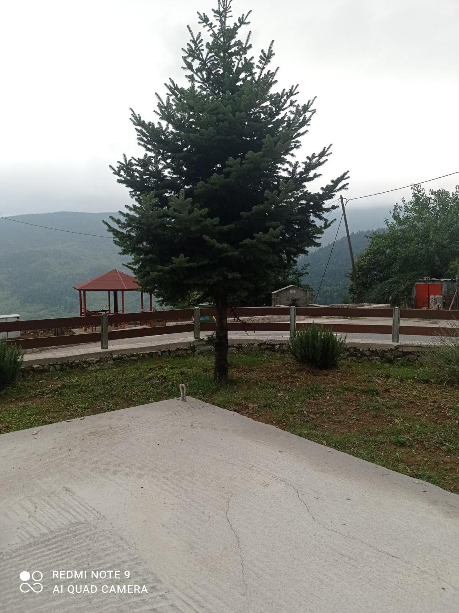 Άγρια Λούλουδα Κατοικία Αρμονία Timfristos Buitenkant foto