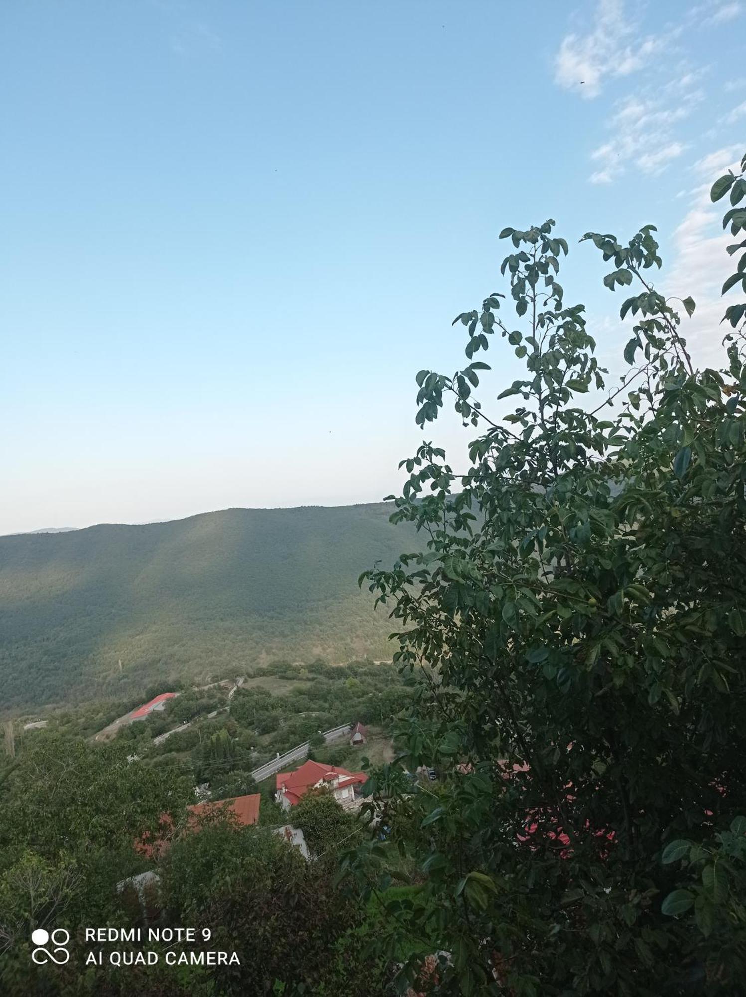 Άγρια Λούλουδα Κατοικία Αρμονία Timfristos Buitenkant foto