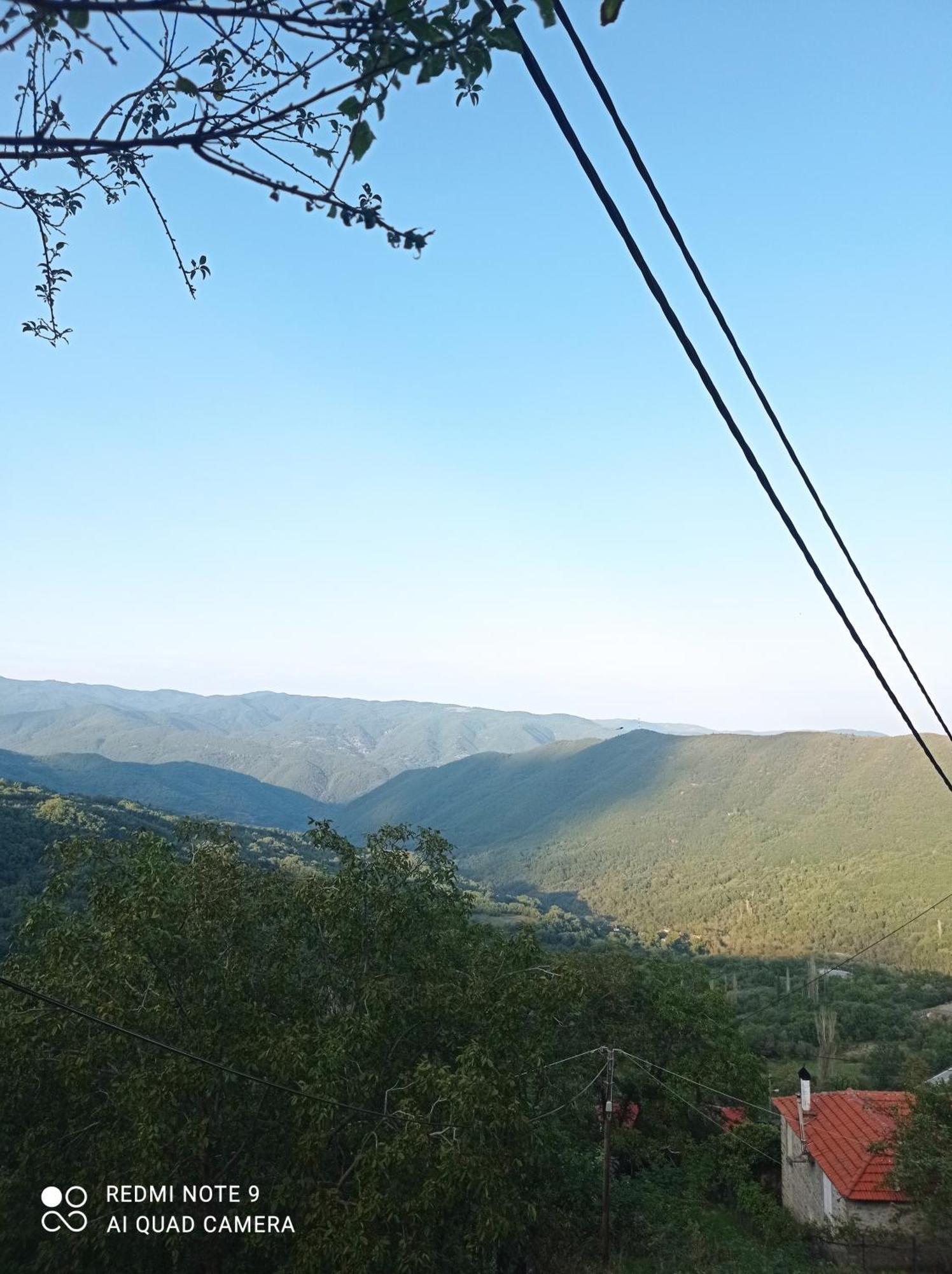 Άγρια Λούλουδα Κατοικία Αρμονία Timfristos Buitenkant foto