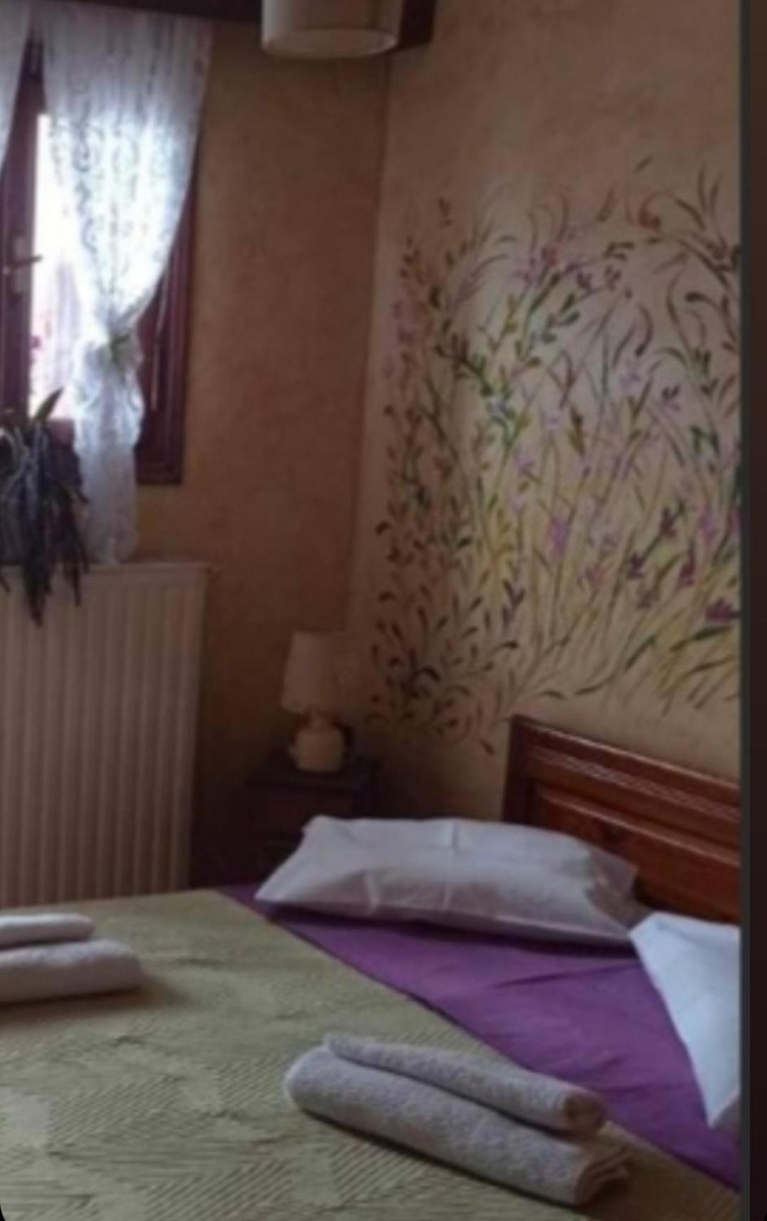 Άγρια Λούλουδα Κατοικία Αρμονία Timfristos Buitenkant foto